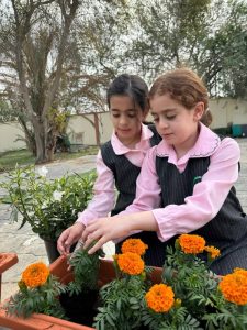 مبادرة الطلبه لتشجير المدرسه